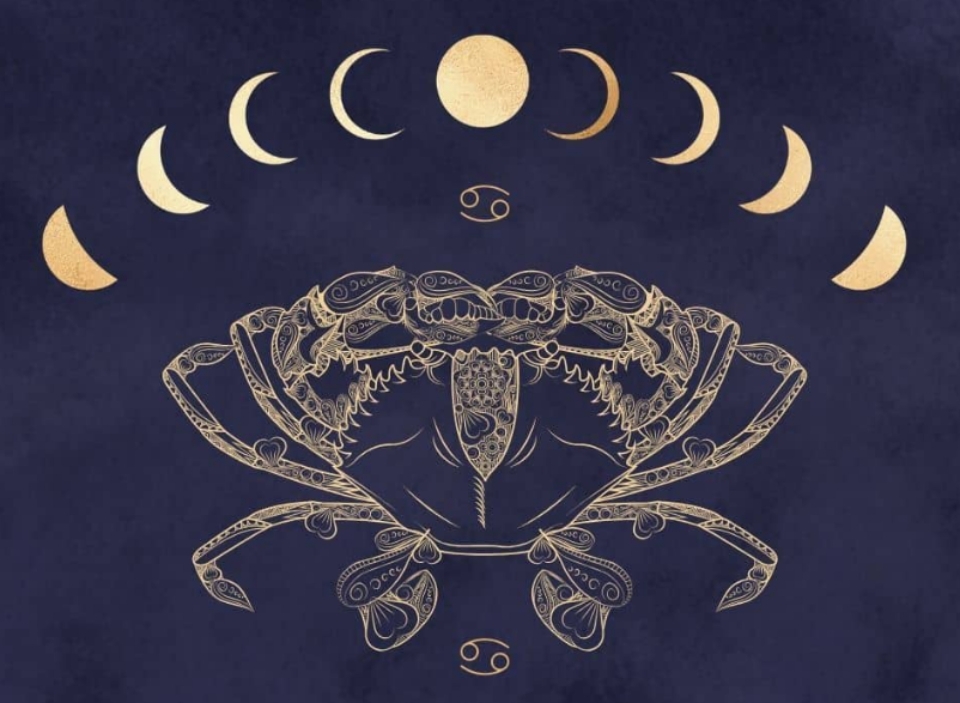 Cự giải cũng phù hợp với cung này