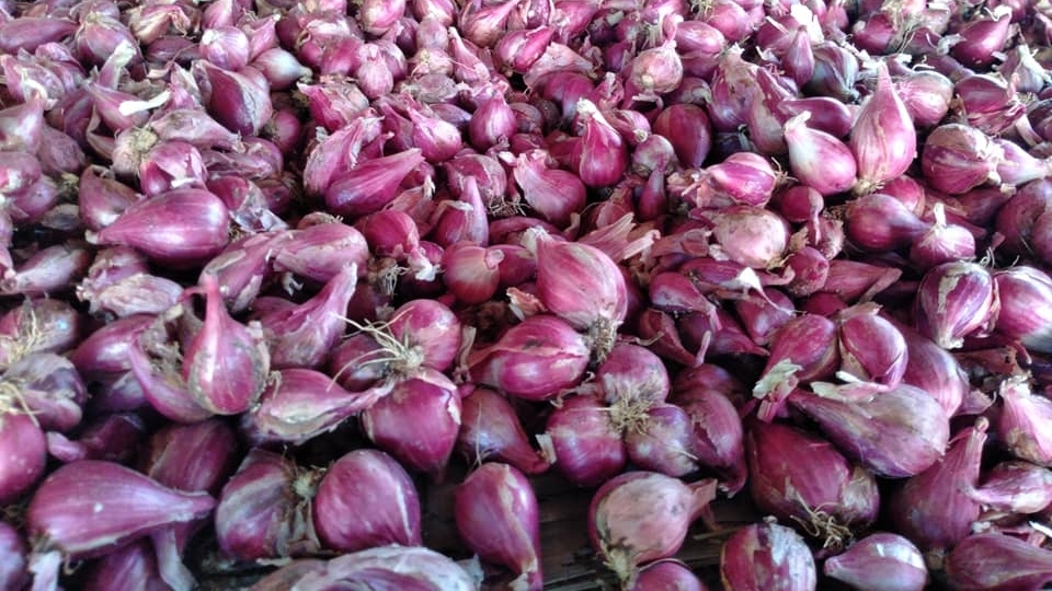 cách làm hành phi