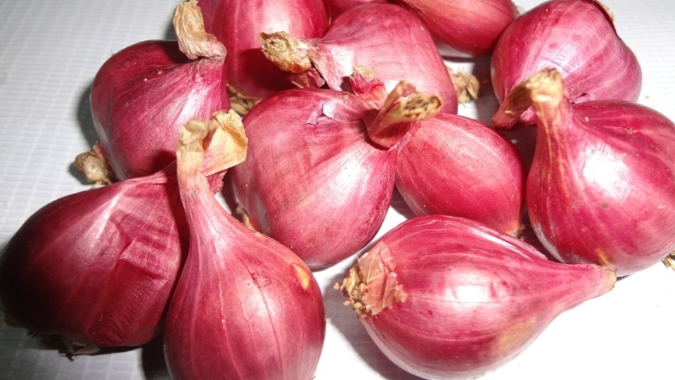 cách làm hành phi