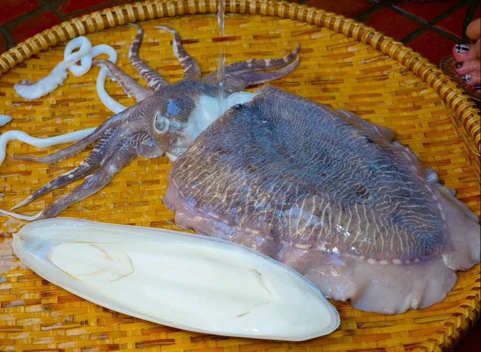 Để chọn được mực tươi, cần quan sát màu sắc và thịt mực