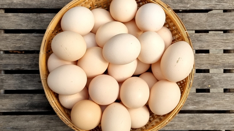 Cách lựa chọn trứng gà