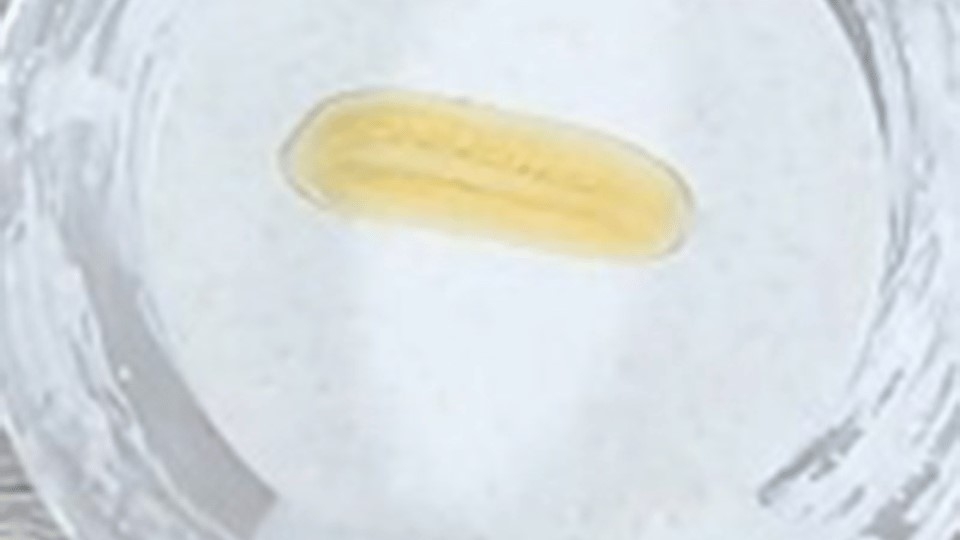 Nhúng chuối vào bột