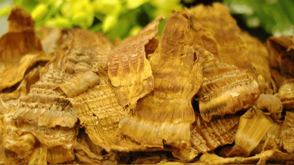Cách chọn mua măng khô ngon