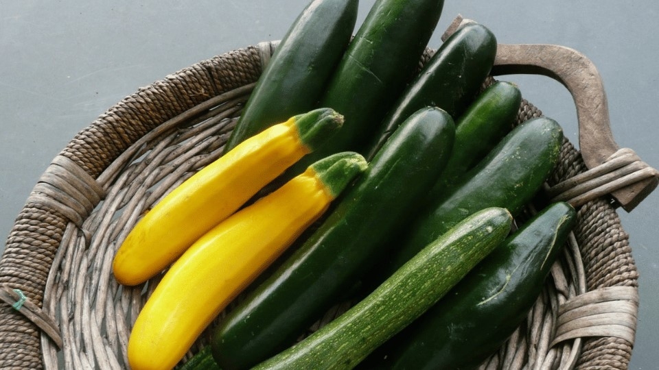 Thành phần dinh dưỡng trong bí ngòi