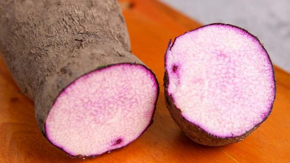 Chọn loại khoai môn ngon 