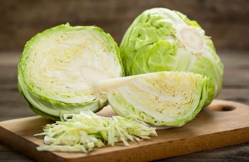 chọn bắp cải làm muối