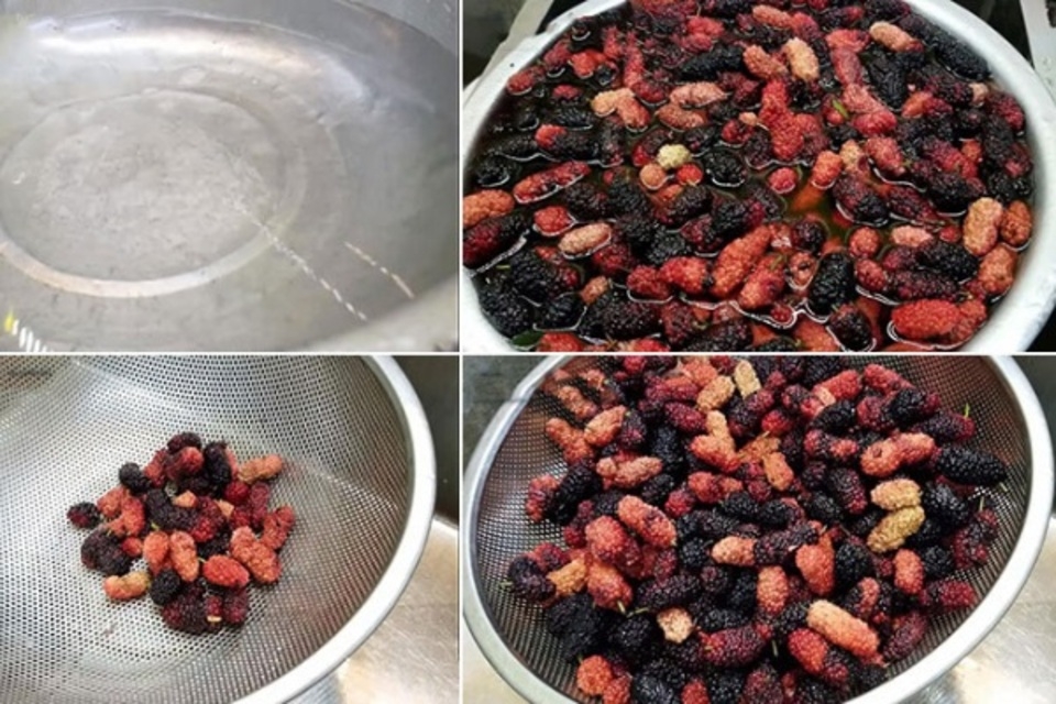 Chần dâu tằm với nước sôi