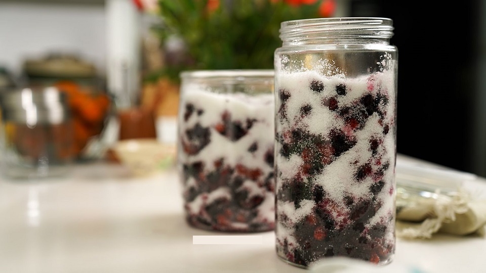 Ngâm dâu tằm với đường