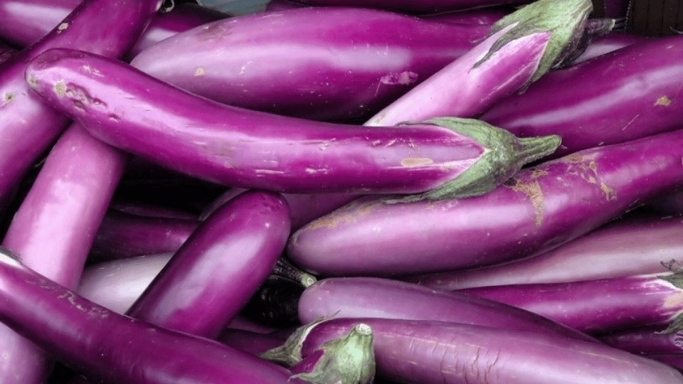 những lưu ý khi ăn cà tím mà bạn nên biết