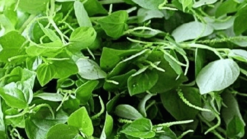 Sơ chế rau càng cua