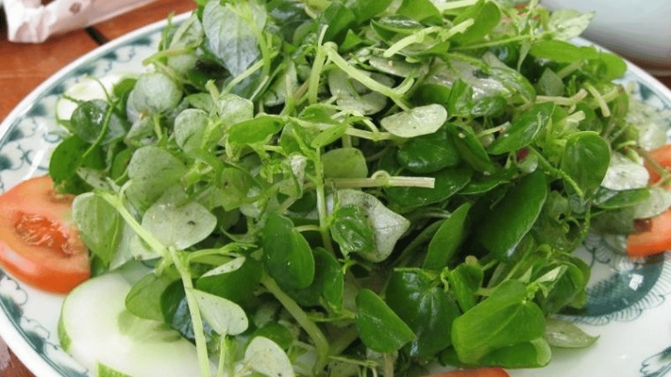 chọn mua rau càng cua sao cho tươi