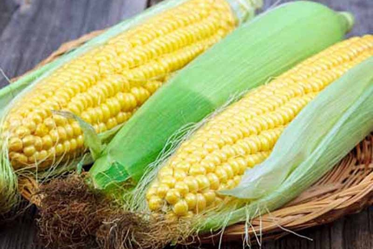 Học lỏm cách làm bánh ngô chiên (Hình 6)