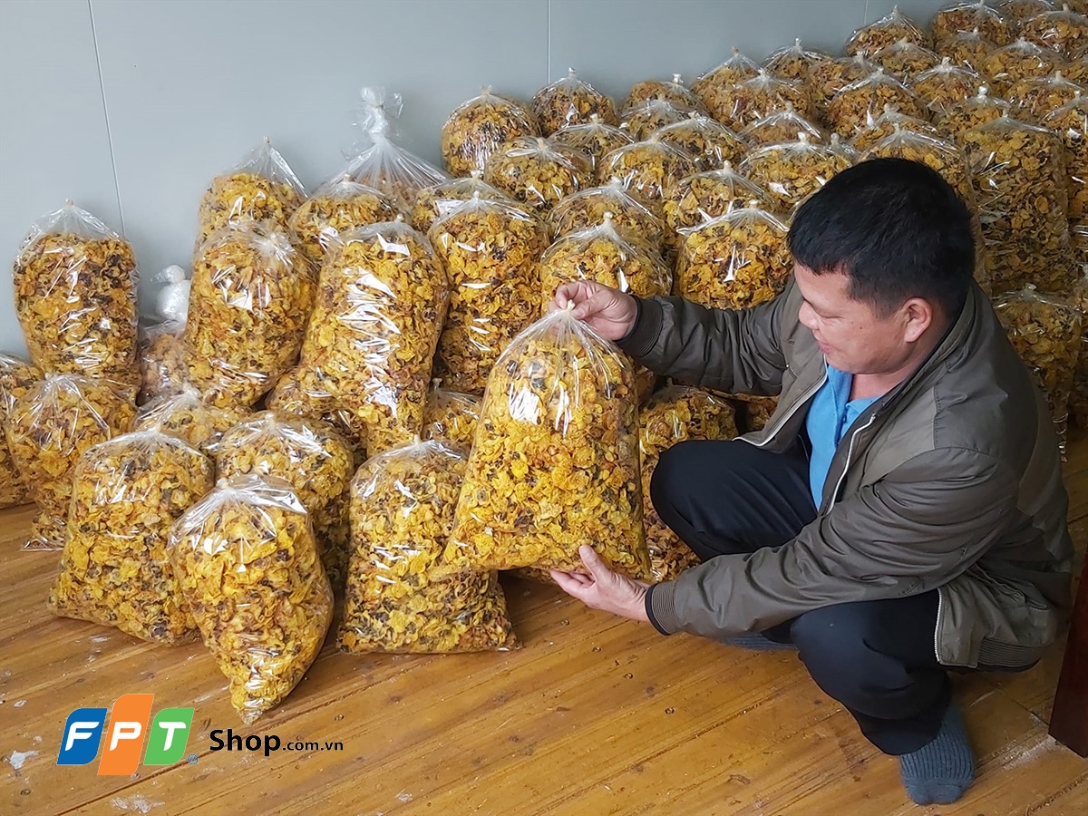 trà hoa vàng - hình 5