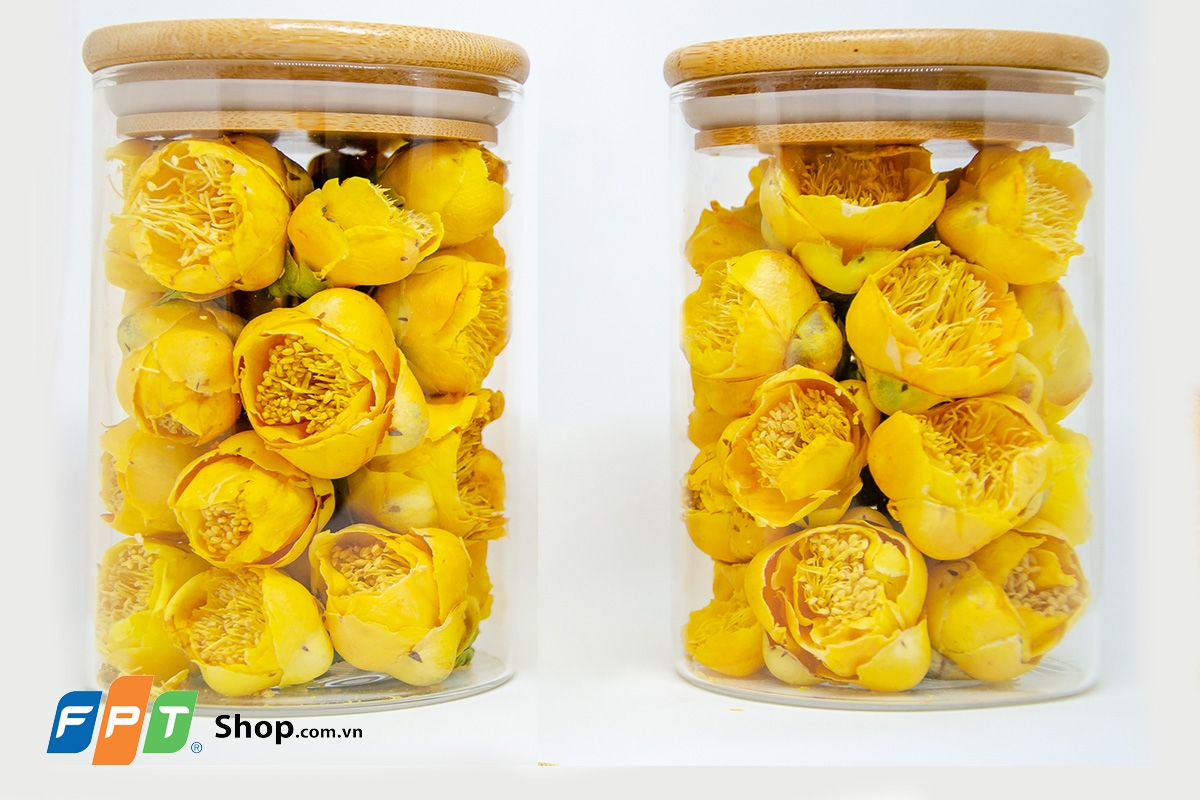 trà hoa vàng - hình 4