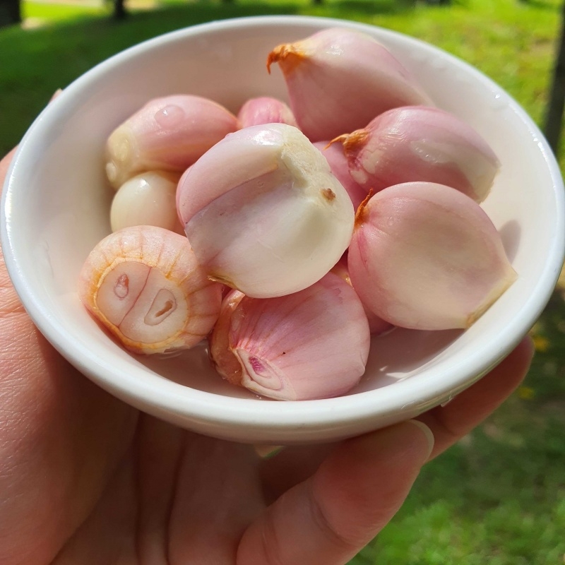 Dưa hành muối - Hình 8