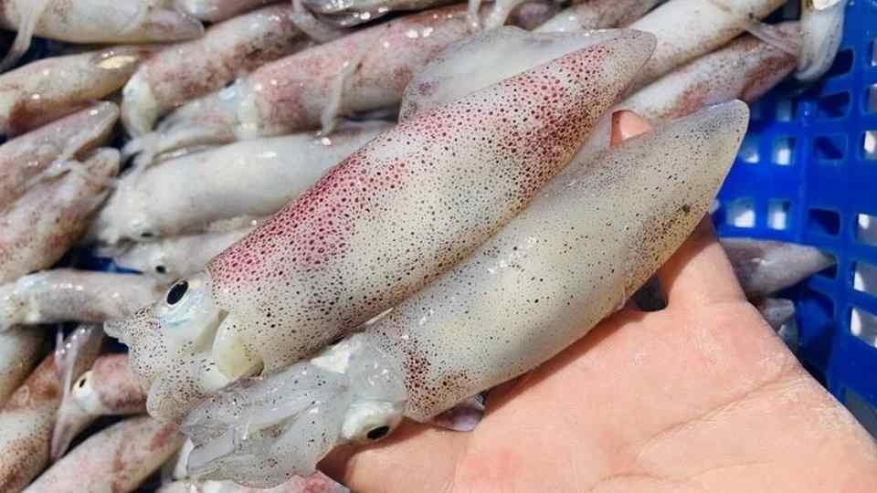 Lưu ý lựa chọn mực tươi