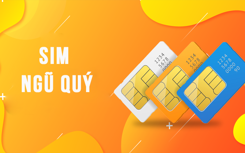 Kết hợp với các số SIM độc đáo