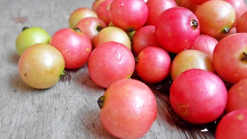 đồ ăn tuổi thơ - trứng cá