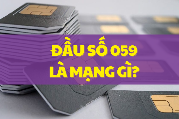 Đầu số 059 mạng gì?