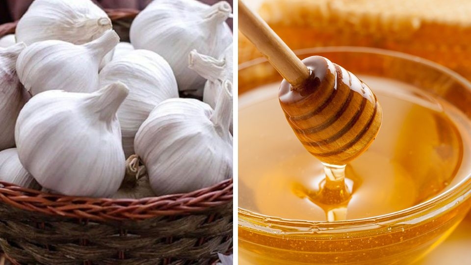 nguyên liệu làm tỏi ngâm mật ong