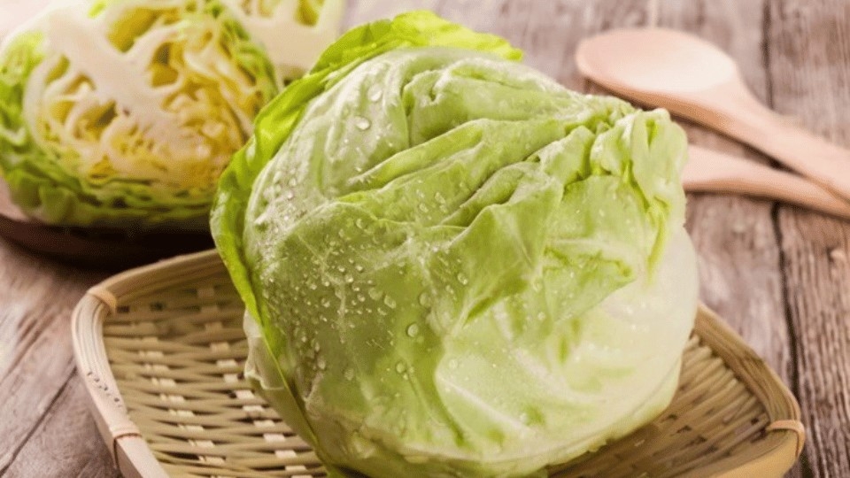Tips chọn mua bắp cải tươi