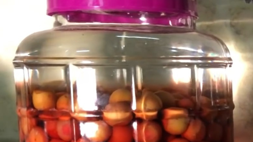 Tại sao cần dùng hũ sành hay hũ thủy tinh để ngâm rượu?