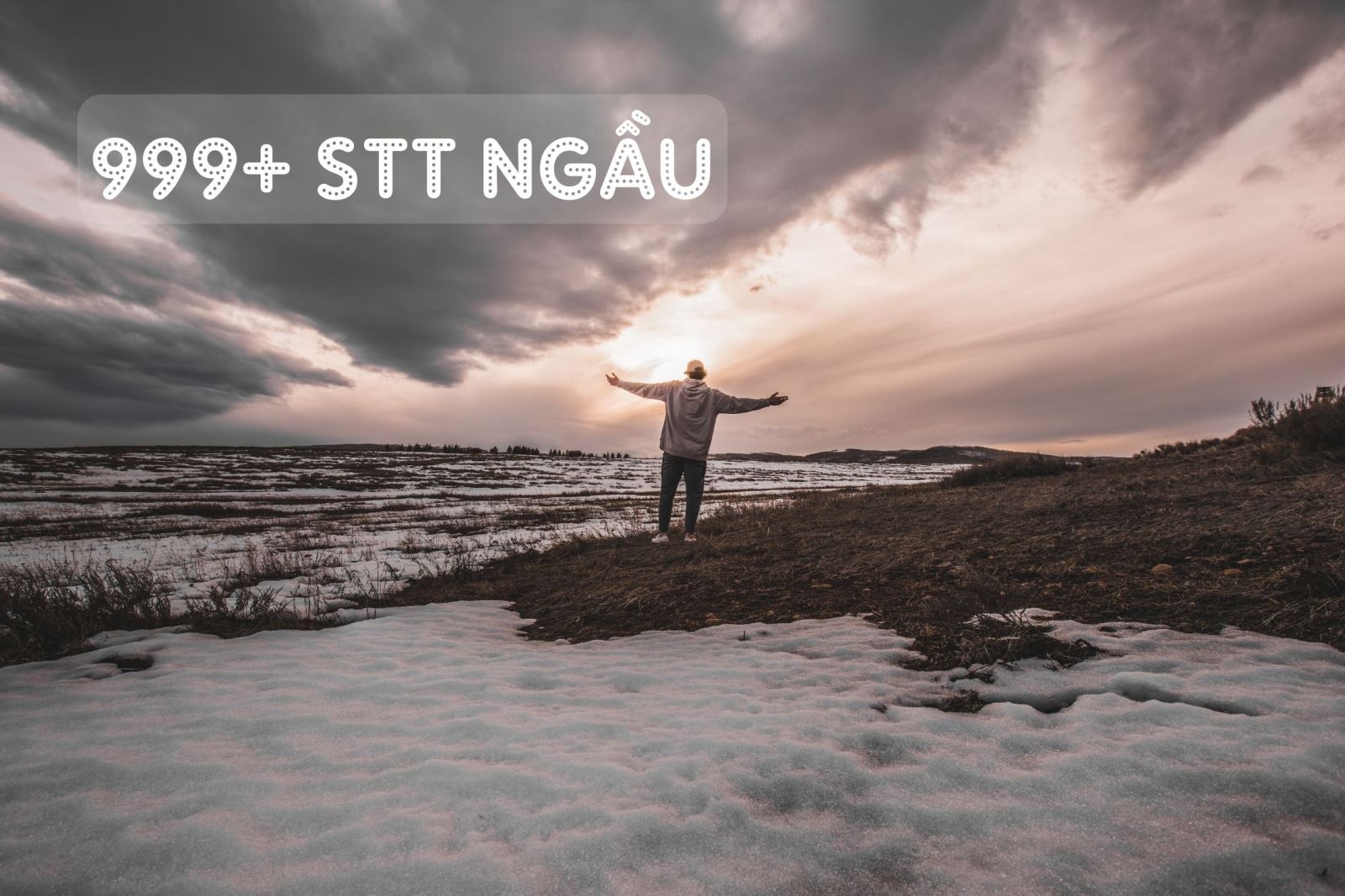 999+ Stt chất hay nhất về tình yêu, cuộc sống, gia đình, bạn bè - hình 1