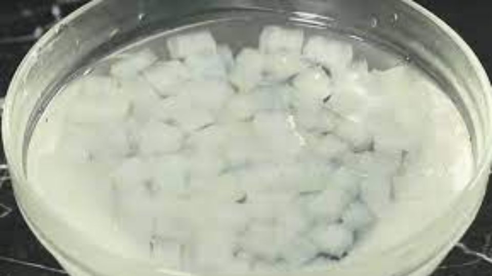 cách làm nha đam 7