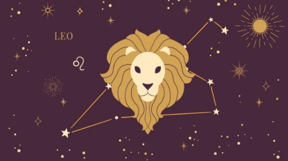 Tổng quan về cung Sư tử