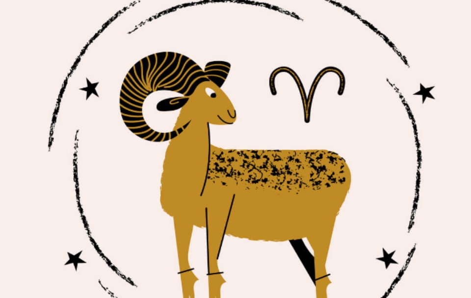 Tổng quan về Bạch Dương