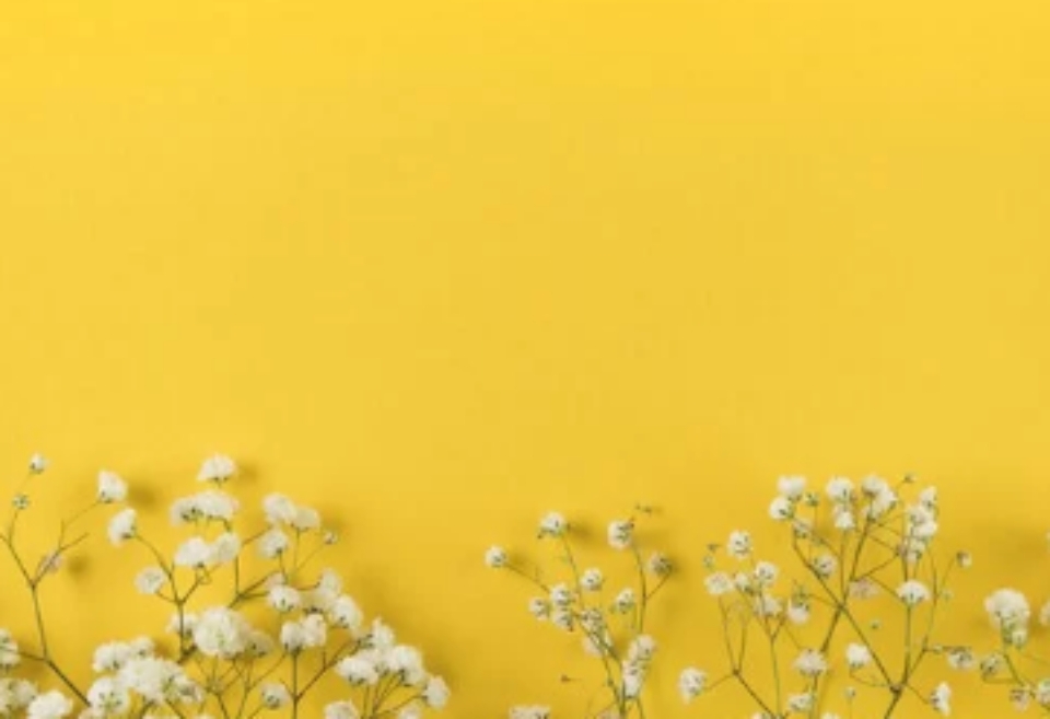 Song Tử nam hợp màu vàng