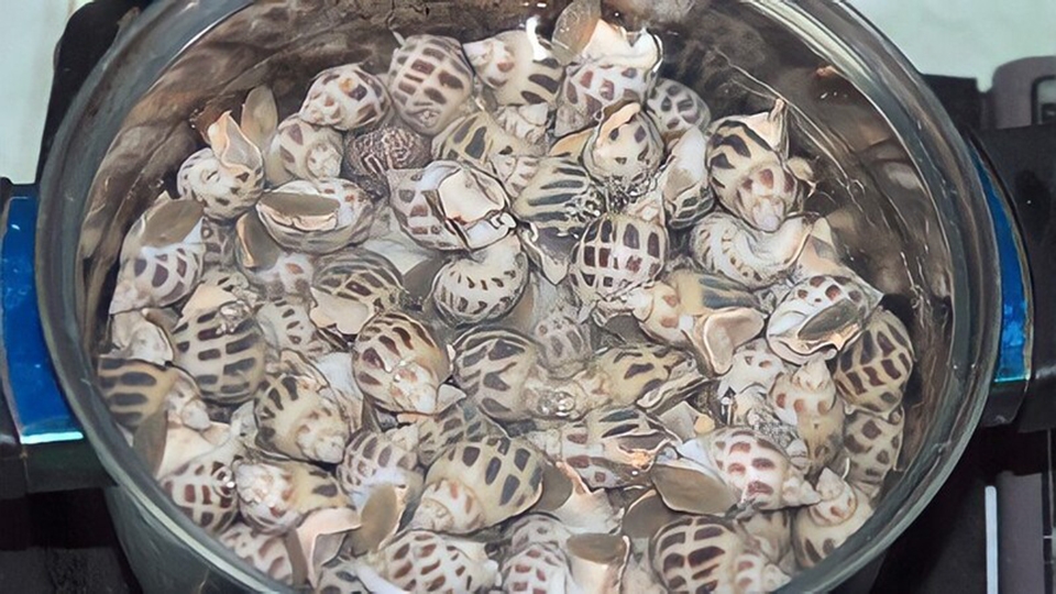 luộc ốc hương
