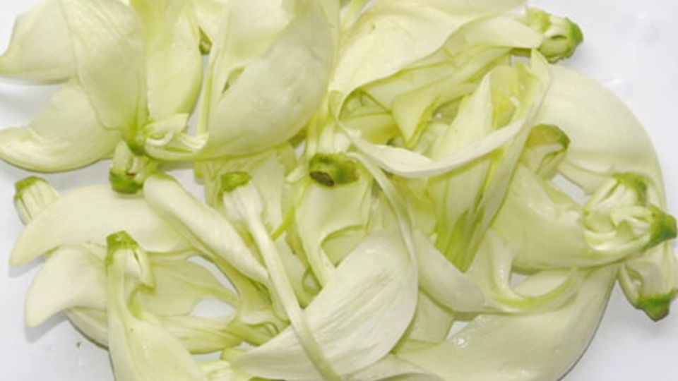 Bông so đũa sẽ có vị hơi đắng nhẹ