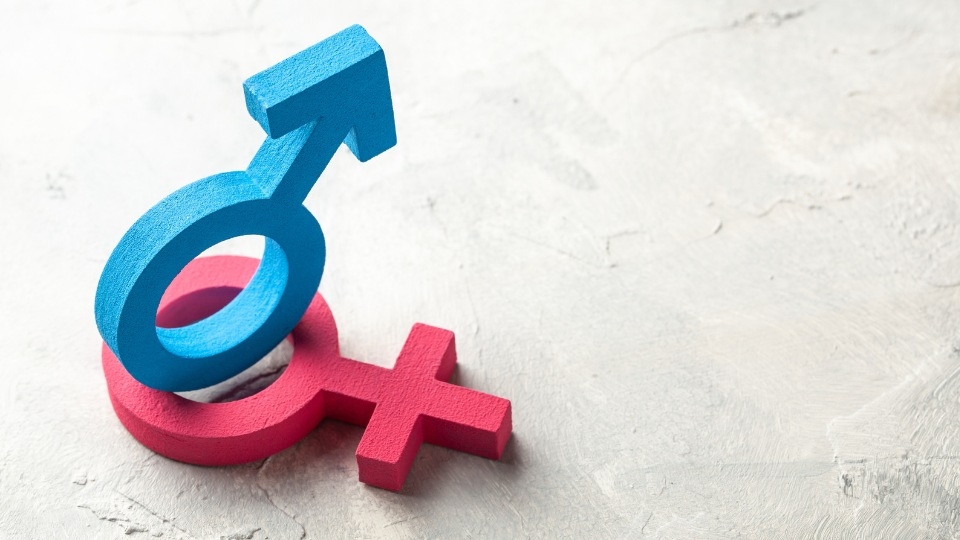 Giới tính trong nhân khẩu học