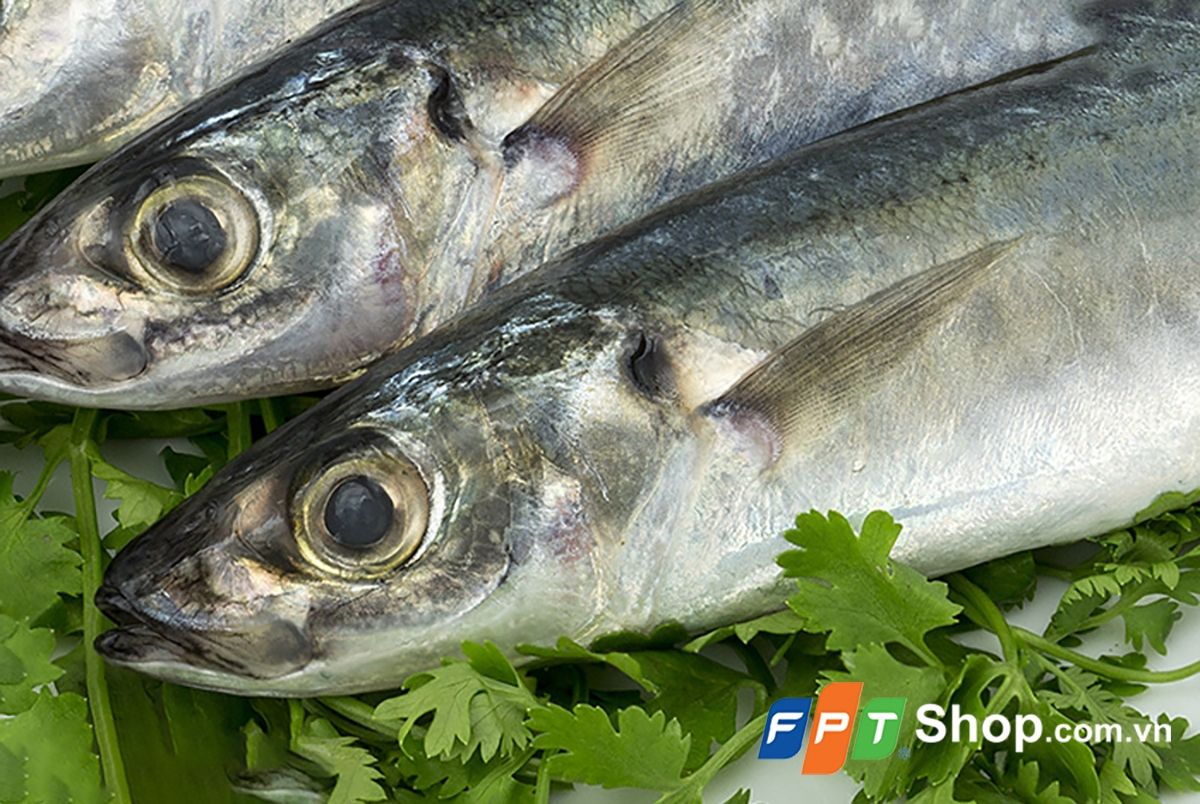 cá nục sốt cà chua - hình 1