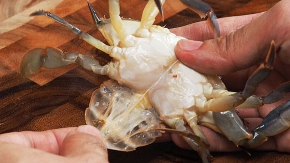 cách bảo quả cua sống 2