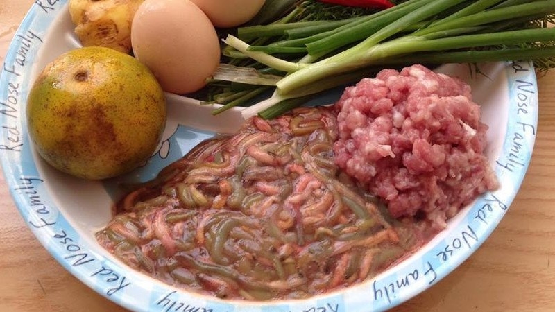 Khử tanh rươi