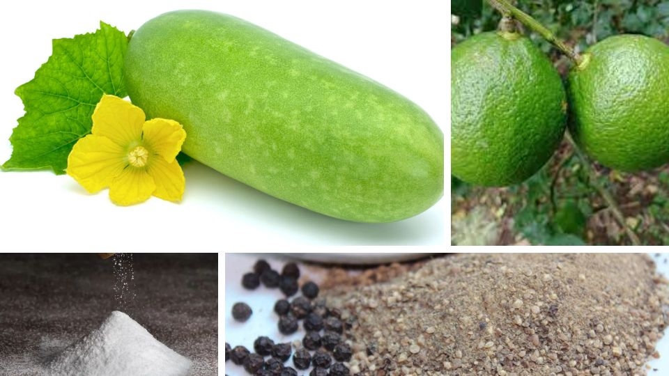 nguyên liệu làm nước ép bí đao chanh