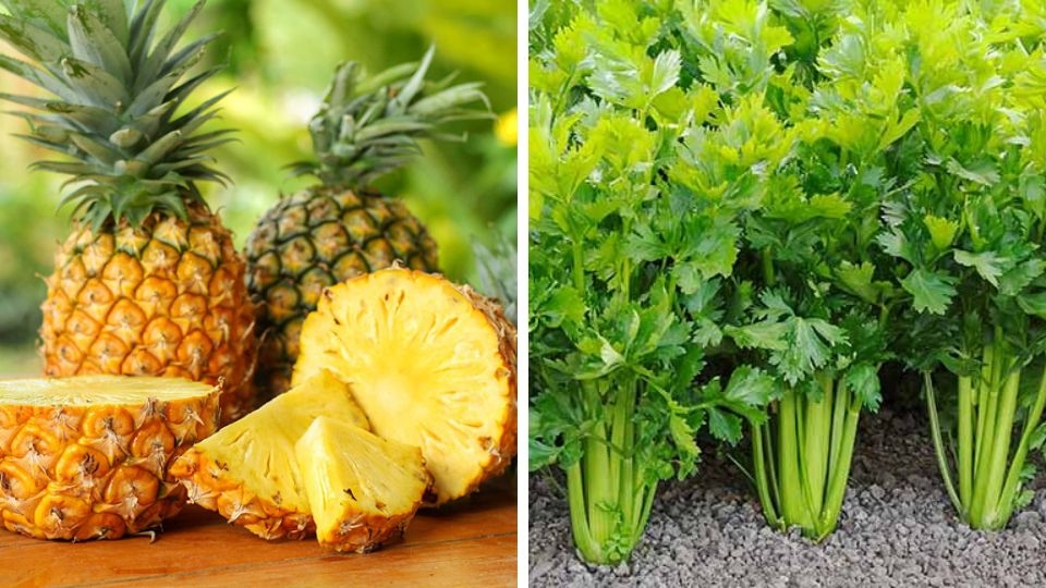 dứa và cần tây