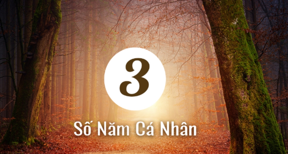 Tổng quan về năm cá nhân số 3