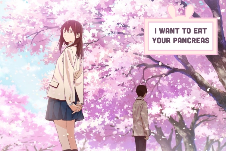 I Want to Eat Your Pancreas (Kimi no Suizou wo Tabetai)