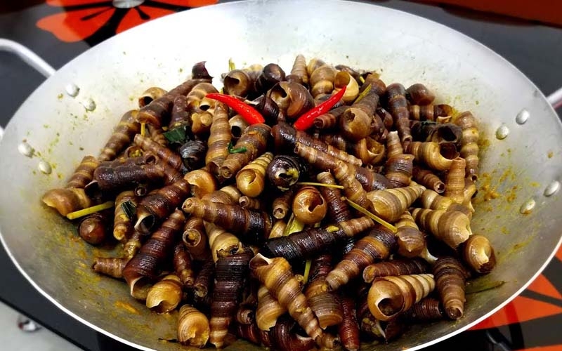 Xào ốc