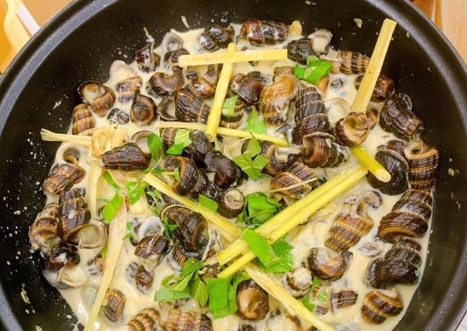 Xào ốc