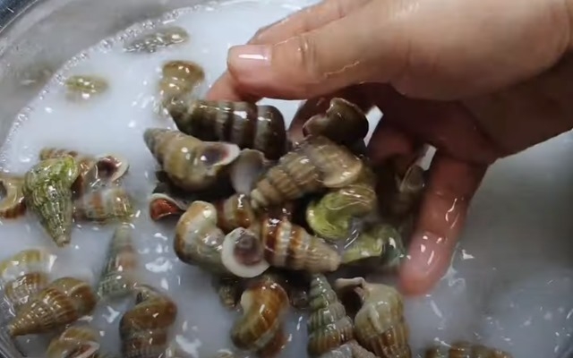 Ngâm ốc len trong nước vo gạo