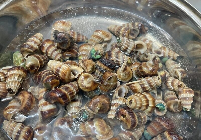 Luộc ốc tới khi sôi thì vớt ra