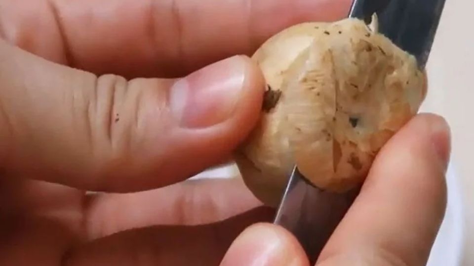 sơ chế nấm rơm
