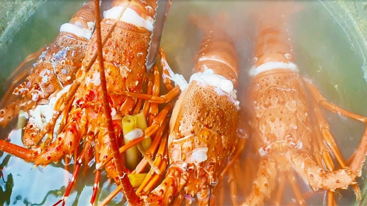 Hấp tôm với nước dừa trên lửa lớn