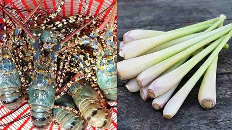 Rửa sạch các nguyên liệu cần thiết 