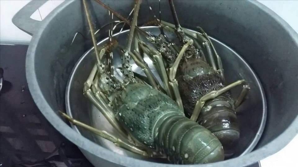 Đặt tôm vào nồi hấp chín 