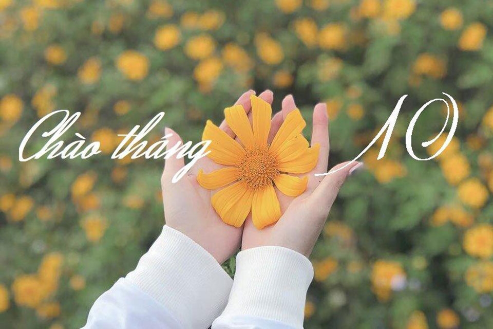 Tháng 10 có bao nhiêu ngày - Ảnh 01